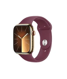 ساعت هوشمند اپل Apple Watch Series 9 - 45mm 